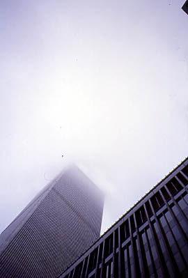 Immagine Twin Towers 3