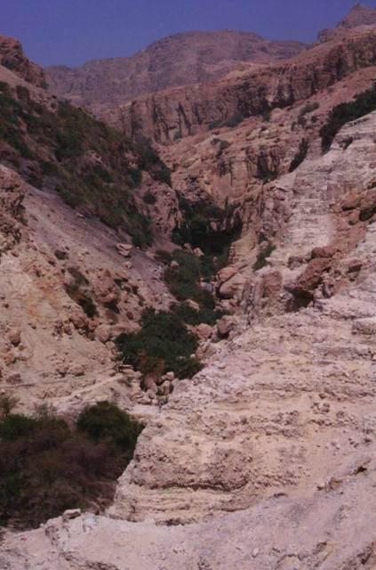 Sul Mar Morto, la sorgente di Ein Ghedi, luogo di rifugio per il re Davide