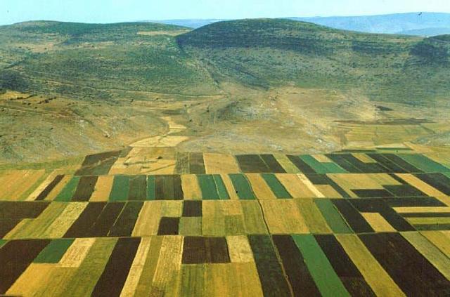 Campagne di Galilea, vicino Cana