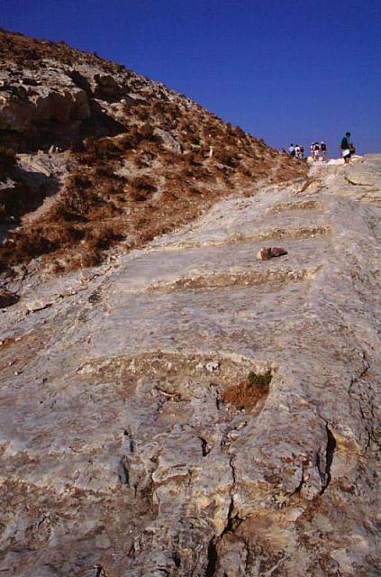 Sull'antica strada romana, percorsa anche da Gesù, in marcia verso Gerusalemme