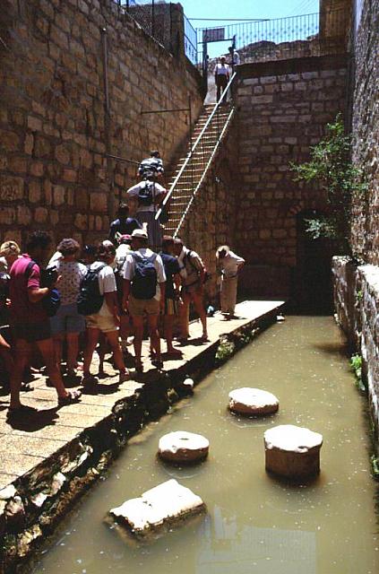 Resti della piscina di Siloe, dove fu mandato a lavarsi il cieco nato, all'uscita del tunnel di Ezechia