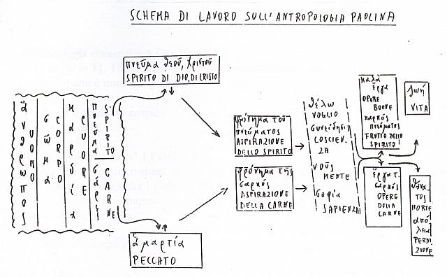 antropologia paolina schema vanni