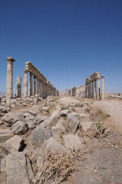 Apamea