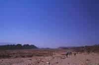 Camminando nel deserto, in cerca del pullman e dell'acqua