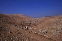 In cammino verso Gerusalemme, con il monte degli Ulivi che si avvicina