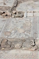 Zippori/Sepphoris, catechesi sulla vita nascosta di Gesù