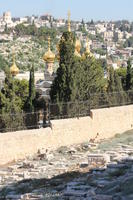 Scendendo dal Monte degli Ulivi per meditare sull'ingresso di Gesù a Gerusalemme