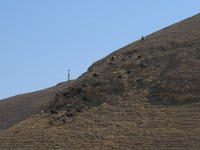 Wadi Qelt