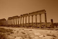 Apamea